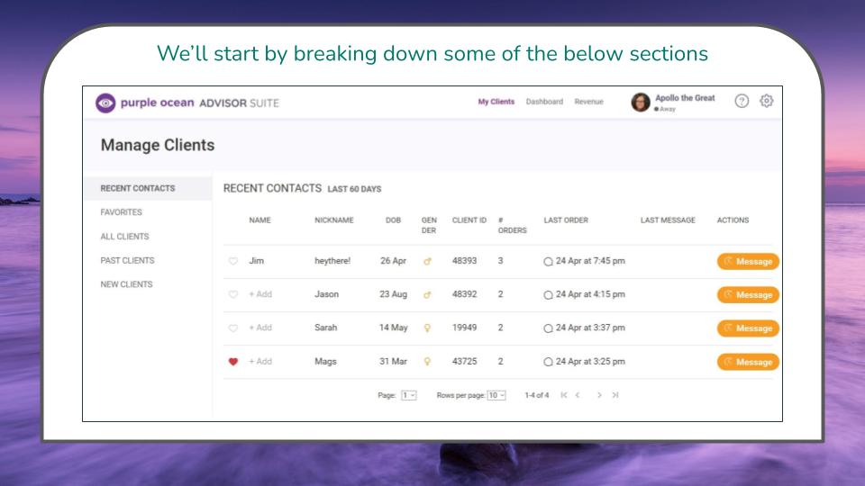 Purple Ocean Advisor Suite Slides 4.jpg